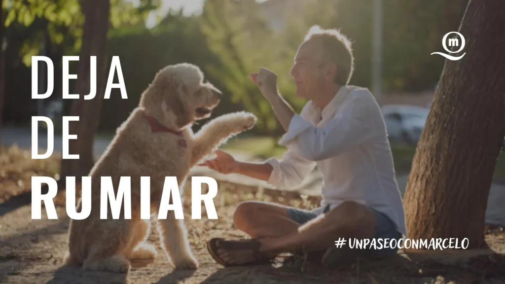 Lee más sobre el artículo Un paseo con Marcelo | Deja de rumiar