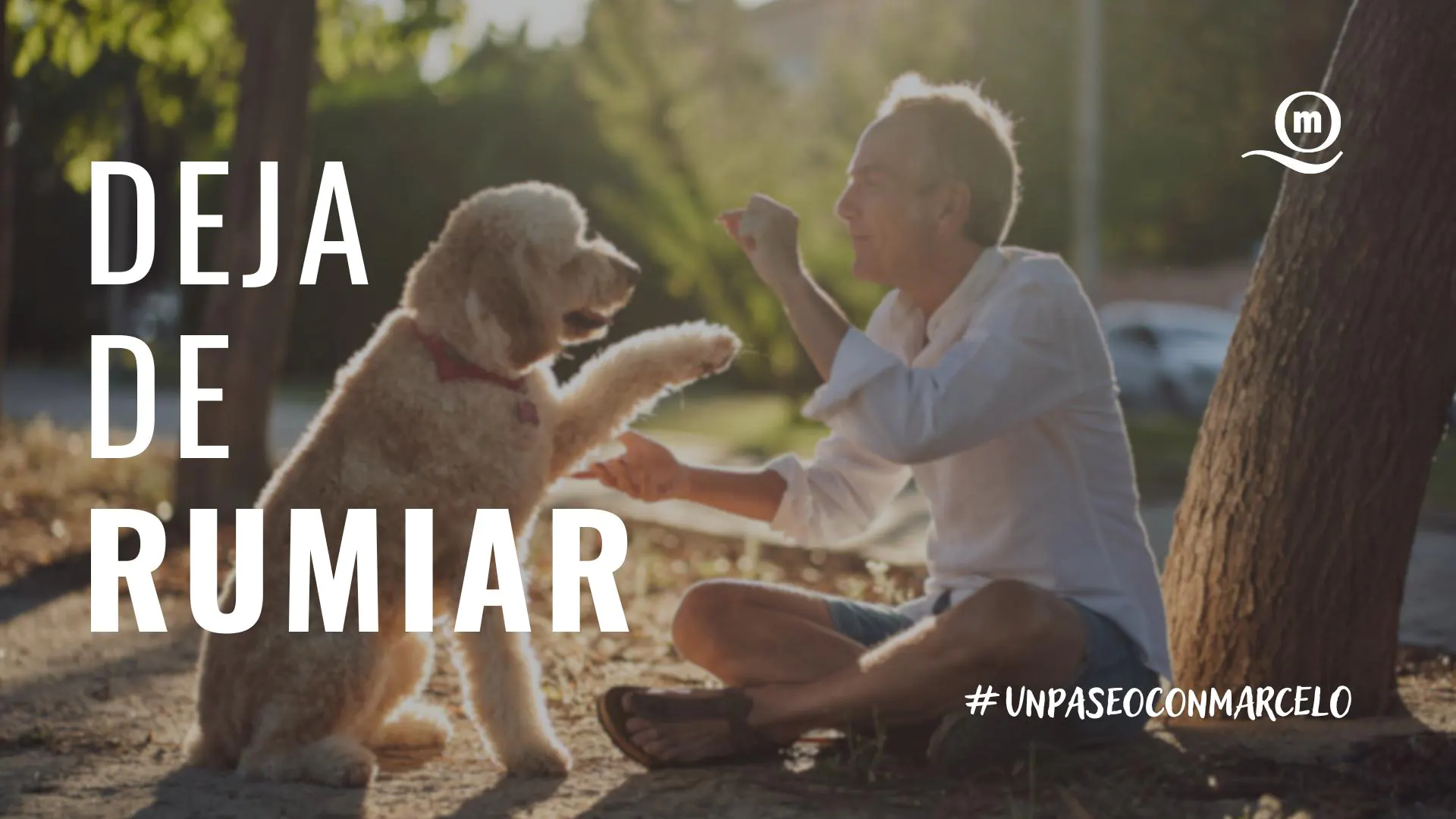 Un paseo con Marcelo - pensamientos rumiantes