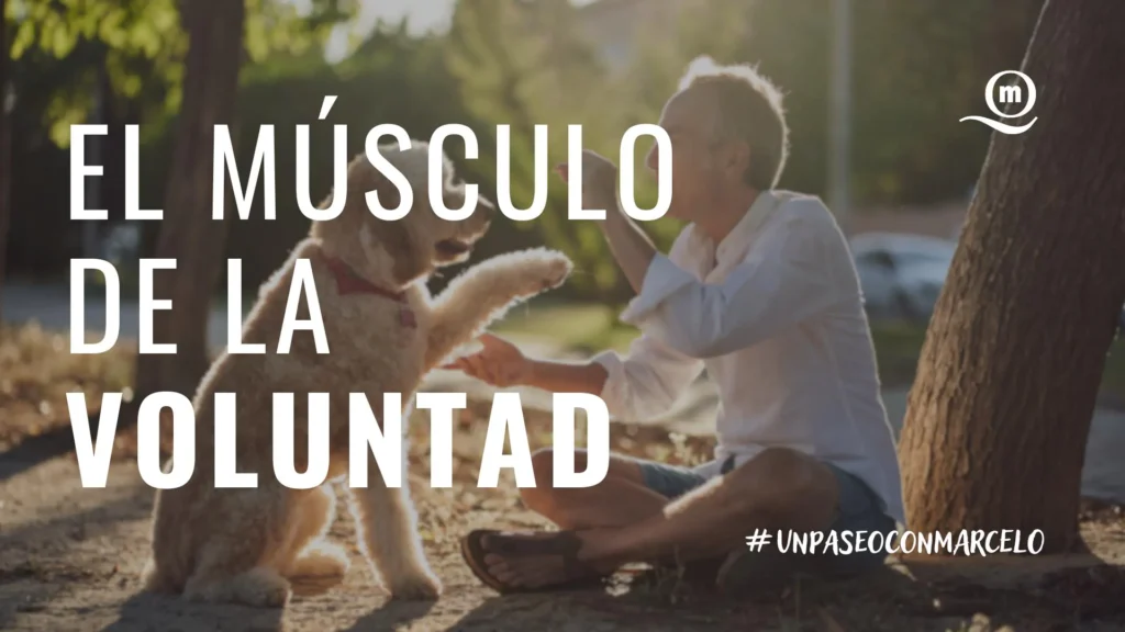 Lee más sobre el artículo Un paseo con Marcelo | El músculo de la voluntad