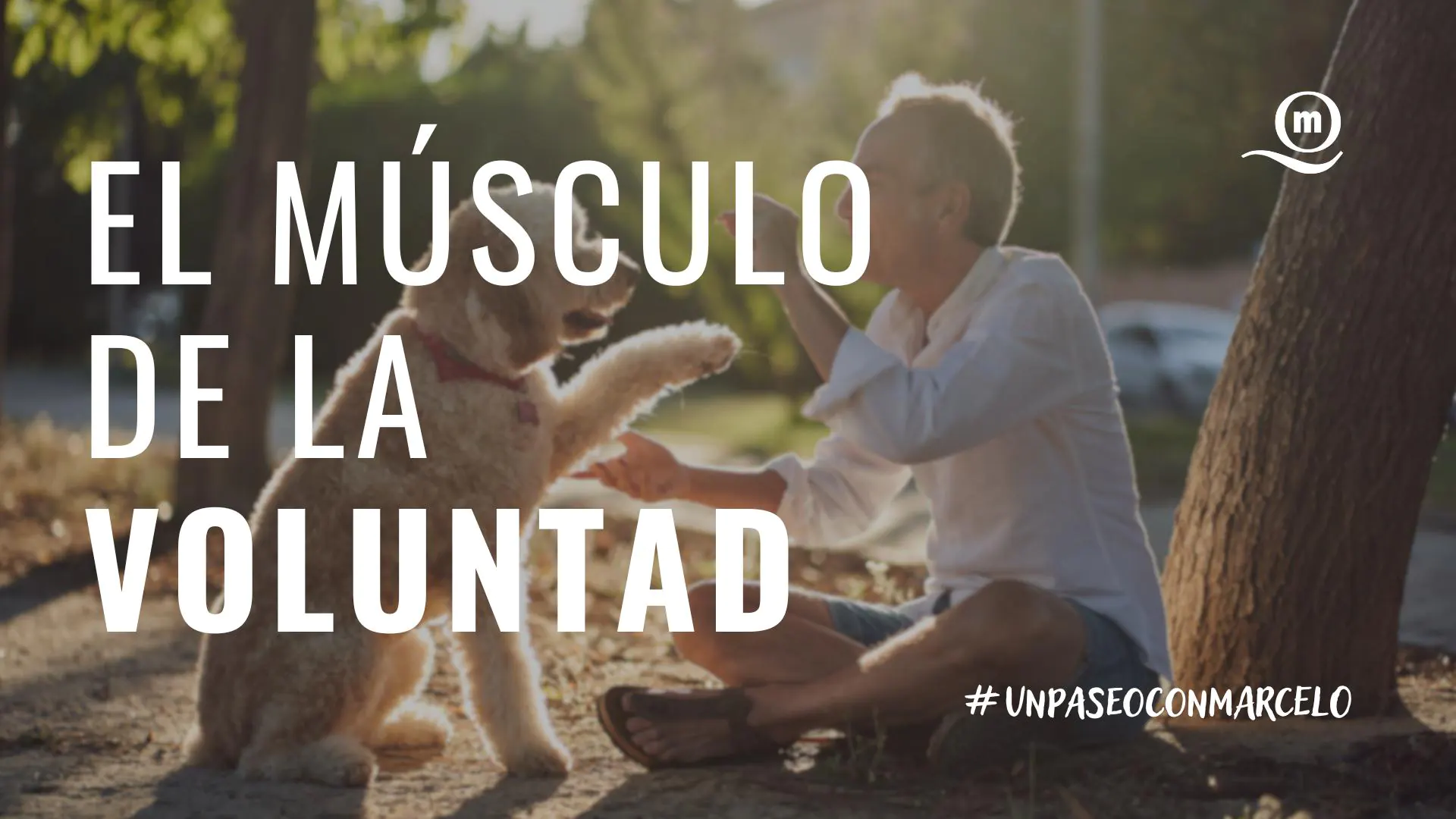 #UnPaseoConMarcelo HORIZONTAL - El músculo de la voluntad (1)