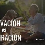 Un Paseo Con Marcelo | Motivación vs. Inspiración