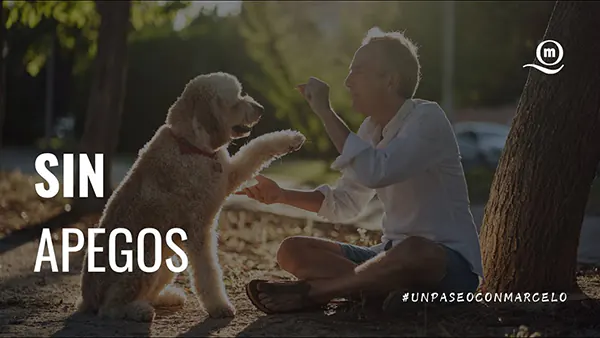 Un Paseo Con Marcelo | Sin Apegos: Soltar el ideal