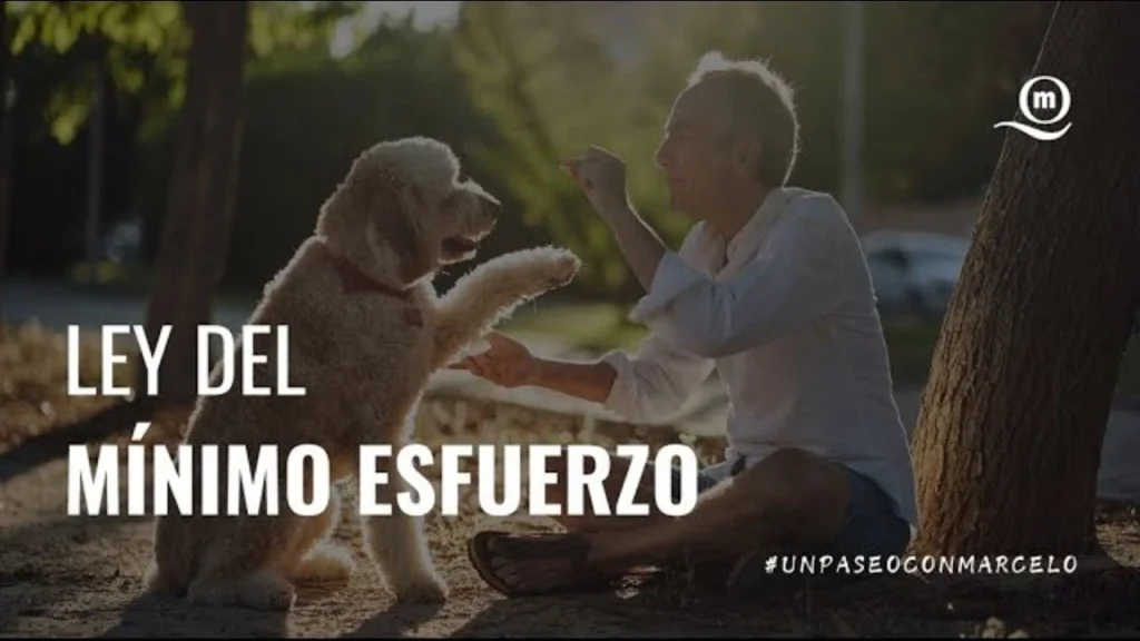 Lee más sobre el artículo Un Paseo Con Marcelo | La ley del minimo esfuerzo
