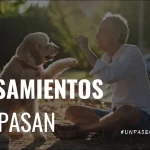 Un Paseo Con Marcelo | Todo pasa