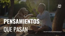 Un Paseo Con Marcelo | Todo pasa