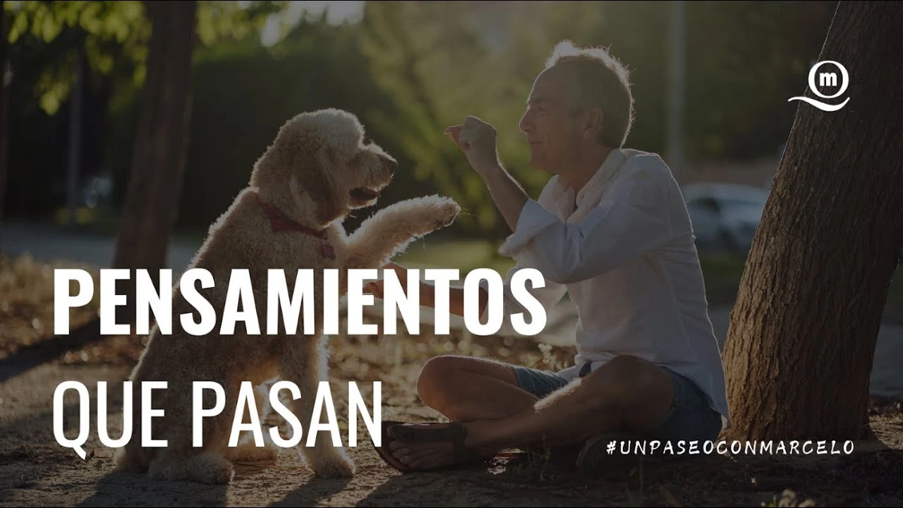 postPaseoMiniatura