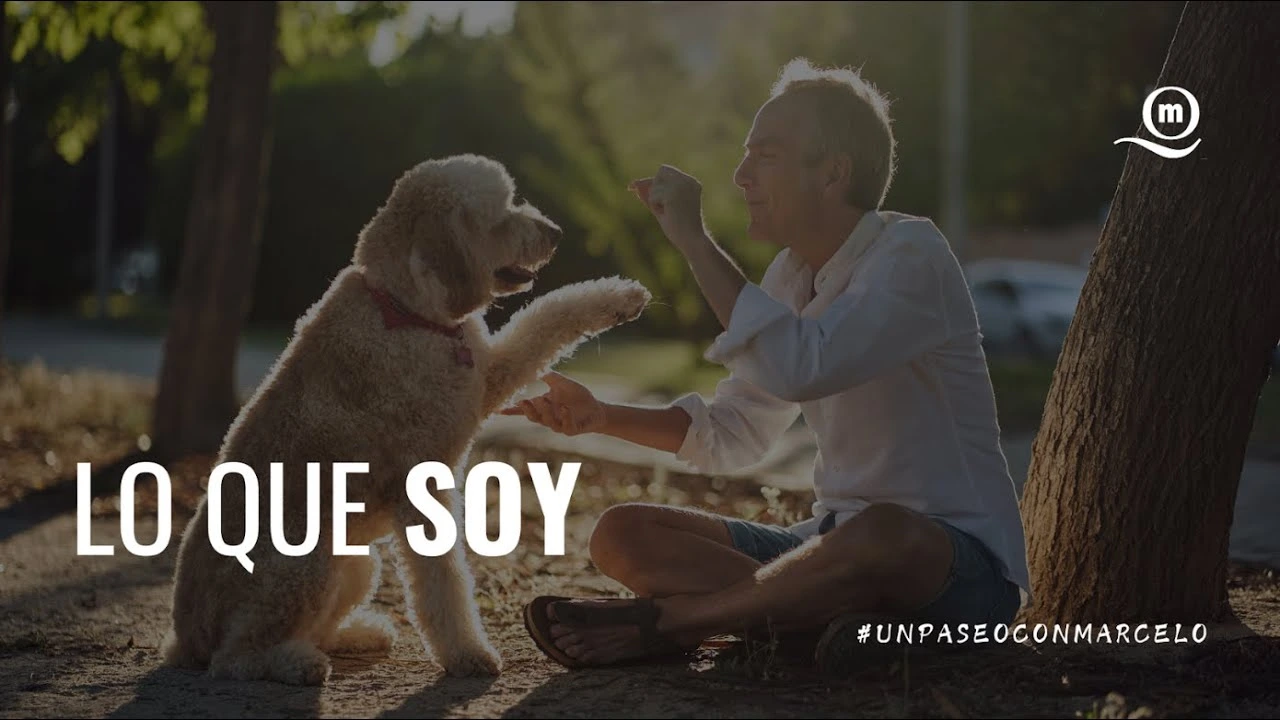 postPaseoMiniatura