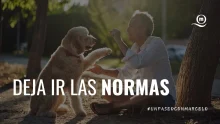 Un Paseo Con Marcelo | Las reglas invisibles