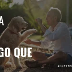 Un Paseo Con Marcelo | Soltar los «Tengo que»