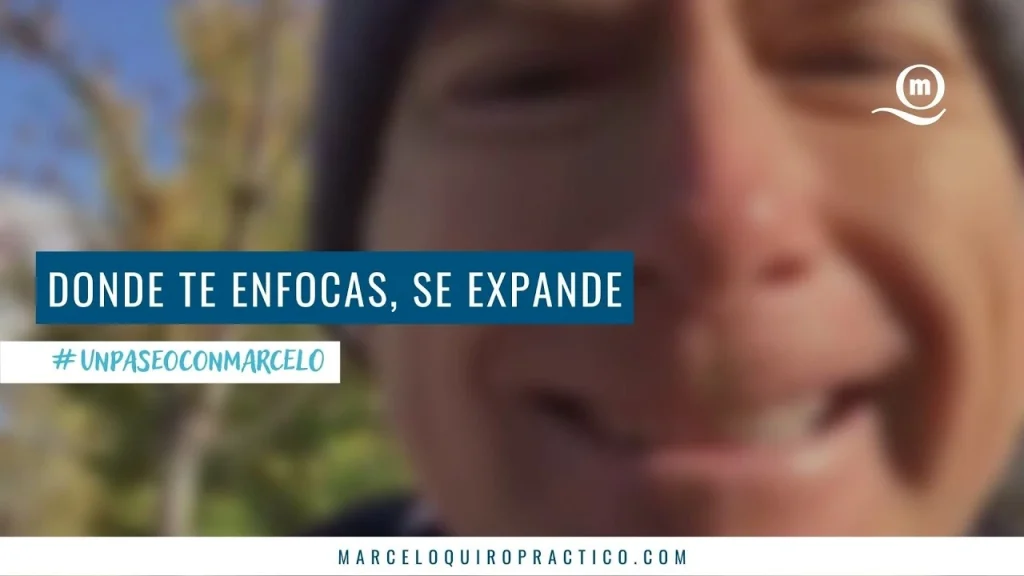 Lee más sobre el artículo Un Paseo Con Marcelo | Donde te enfocas, se expande