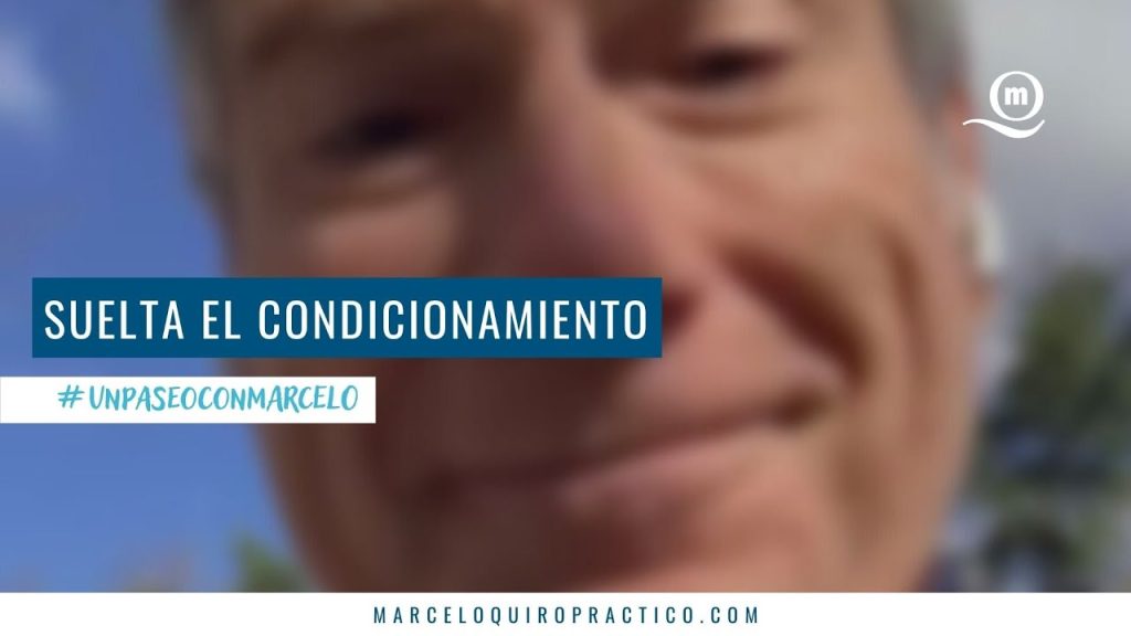 Lee más sobre el artículo Un Paseo Con Marcelo | Lo Que No Ves También importa