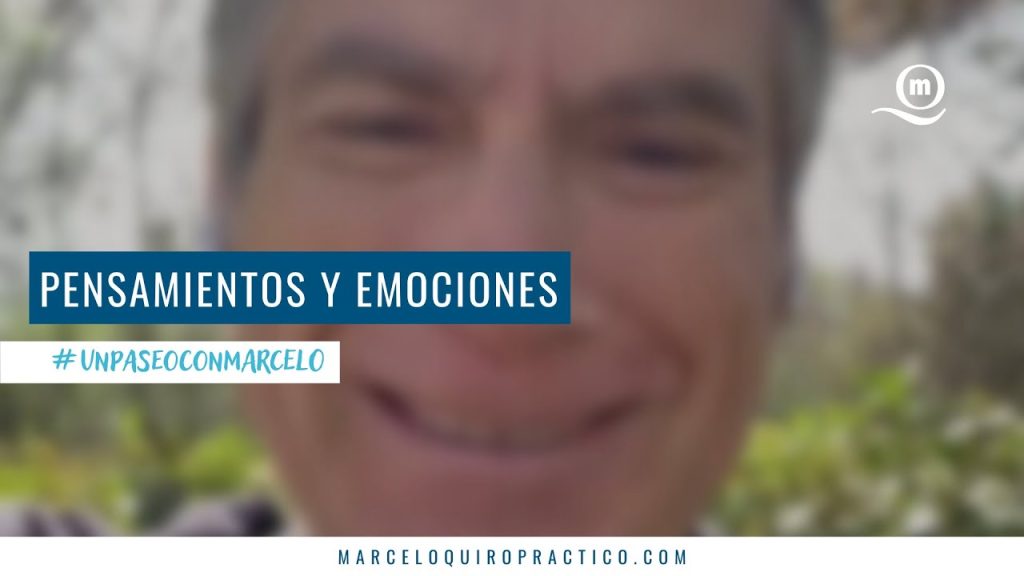 Lee más sobre el artículo Un Paseo Con Marcelo | Aceptar el momento