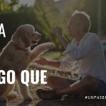 Un Paseo Con Marcelo | La lista de “TENGO QUE”