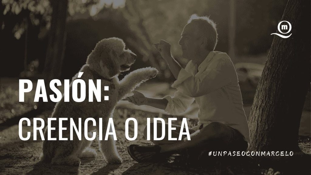 Lee más sobre el artículo Un Paseo Con Marcelo | No tienes que poder con todo